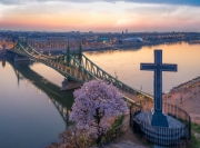 Budapest, Hungary - Beautiful Liberty Bridge at sunrise with cherry blossom