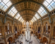 London, UK. Hall of Natural historical museum.