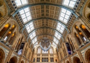 London, UK. Hall of Natural historical museum.