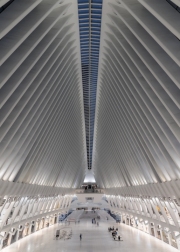 Unique view about the Oculus building in Lower Manhattan New Yourk city. This is a fantastic shape modern architevcture next to 9/11 memorial museum and One world trade center.