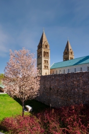 Unique view about the Pecs Basilica in springtime. Pecs is a beautiful city in Hungary.