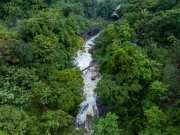 The image showcases Bambarakiri Ella Falls, a picturesque 3-meter waterfall near Rattota in Matale, Sri Lanka, surrounded by lush evergreen forest and featuring a charming suspension bridge