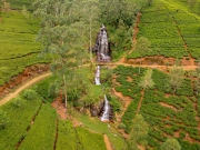 A scenic waterfall cascades through lush tea plantations in Nanu Oya, Sri Lanka, surrounded by rolling green hills and winding dirt paths.