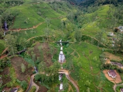 A scenic waterfall cascades through lush tea plantations in Nanu Oya, Sri Lanka, surrounded by rolling green hills and winding dirt paths.