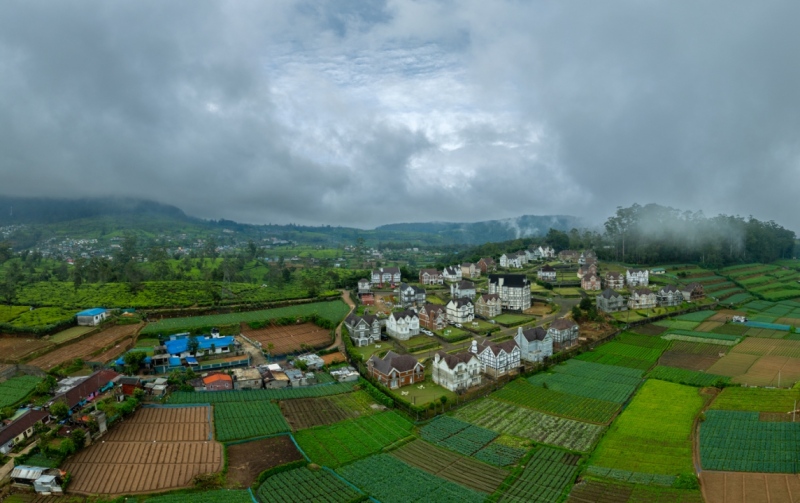 The misty hills of Nuwara Eliya, Sri Lanka, reveal the charming Little England Cottages, nestled among lush tea plantations, evoking a serene colonial-era ambiance