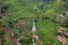 A scenic waterfall cascades through lush tea plantations in Nanu Oya, Sri Lanka, surrounded by rolling green hills and winding dirt paths.