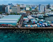 Stingray watching point in Malé city, maldives islands. Next to the port and fish market.