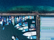 Stingray watching point in Malé city, maldives islands. Next to the port and fish market.