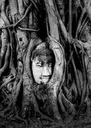 09.26.-Buddha-head-on-wood