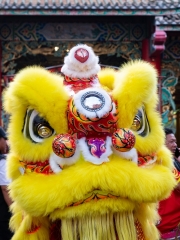 09.26.-Chineese-new-year-dragons_01