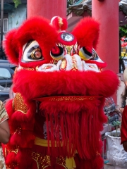 09.26.-Chineese-new-year-dragons_02