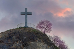 Christian cross with blooming tree and Liberty statue on the background in Gellert hill Budapest Hungary