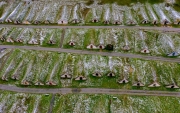 Traditional wine cellars in Hercegkut near Sarospatak Tokaj region Hungary - Button Hill