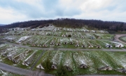Traditional wine cellars in Hercegkut near Sarospatak Tokaj region Hungary - Button Hill